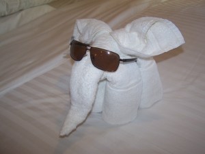 Towel elephant takes charge!